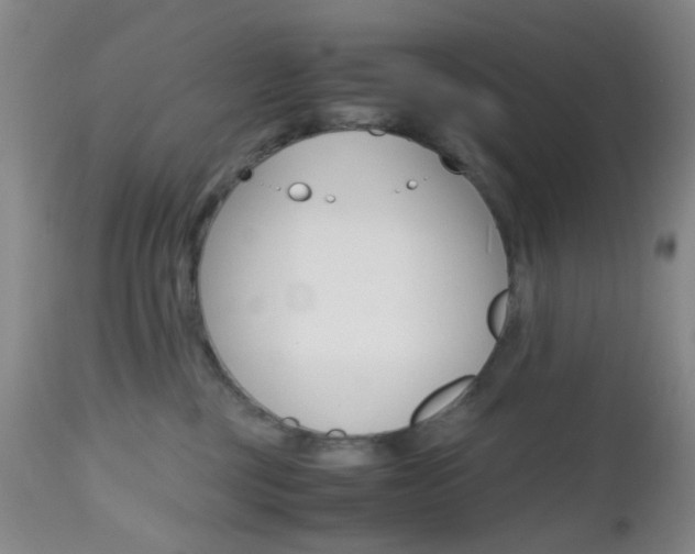 X0000112970377200908270949