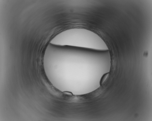 X0000112970379200908270949