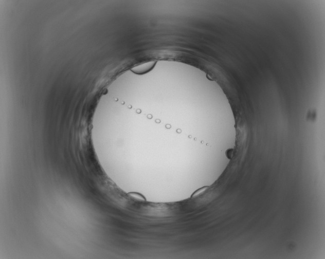 X0000112970381200908270949