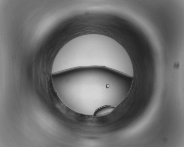 X0000112970382200908270949