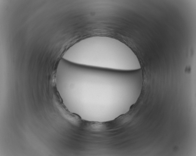 X0000112970383200908270949