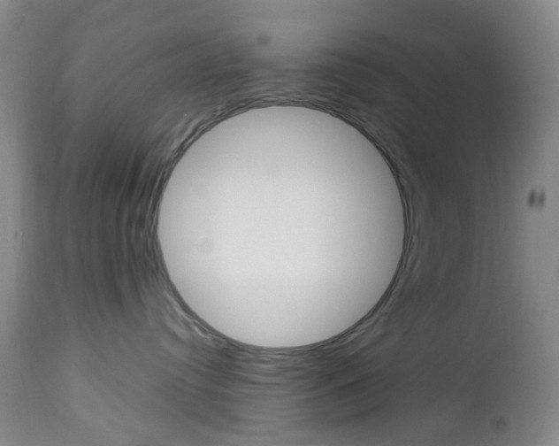 X0000112970384200908270949