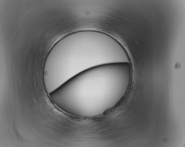 X0000112970385200908270948