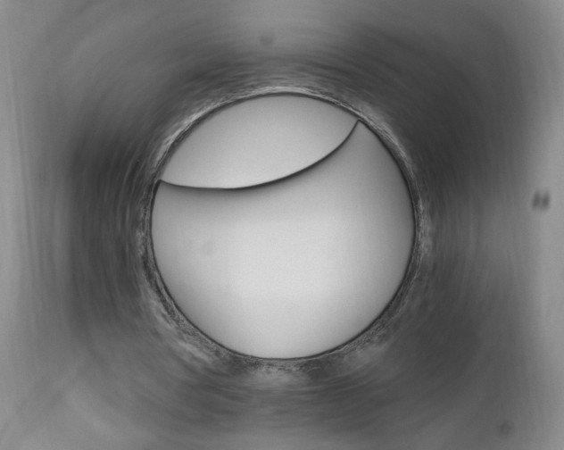 X0000112970386200908270948