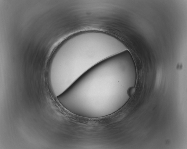 X0000112970388200908270948