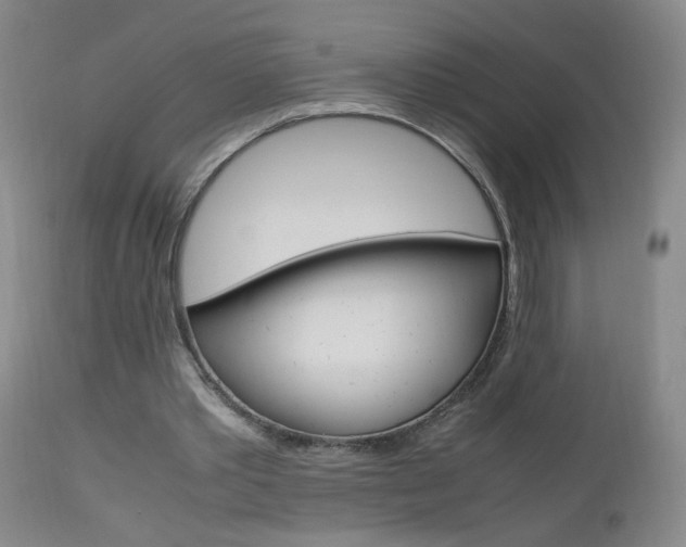 X0000112970389200908270948