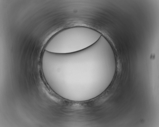 X0000112970390200908270948