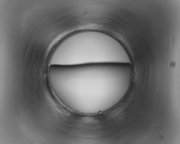 X0000112970392200908270948
