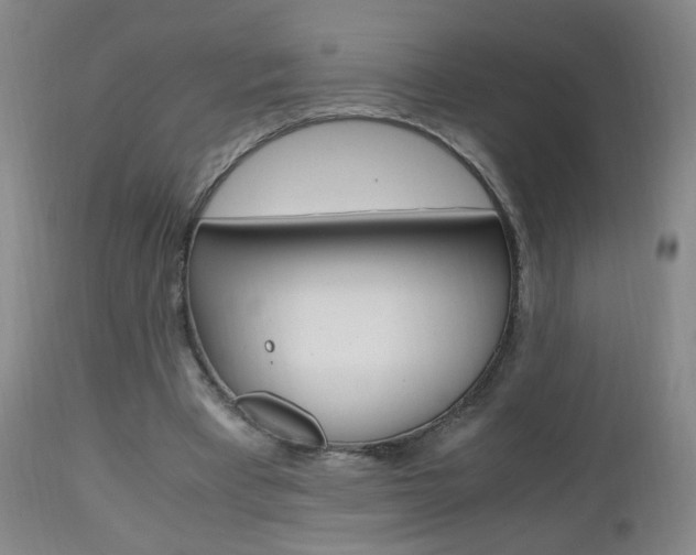 X0000112970393200908270948