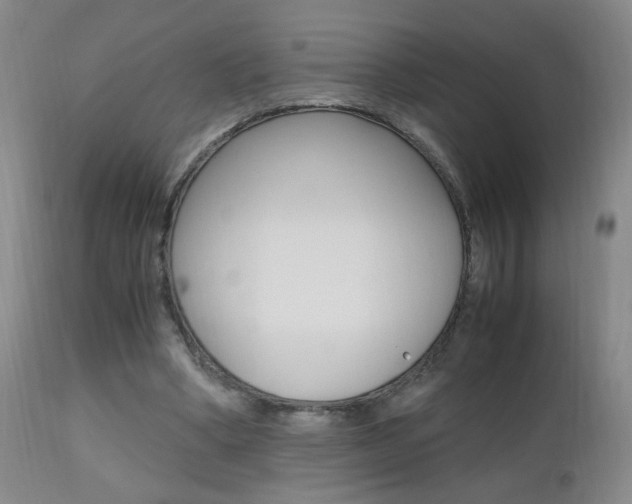 X0000112970394200908270948