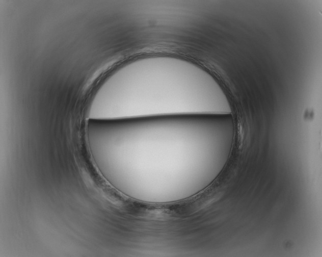 X0000112970396200908270948