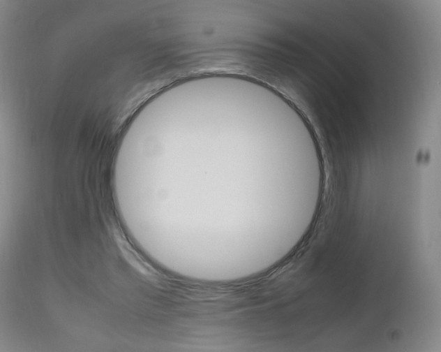 X0000112970397200908270948