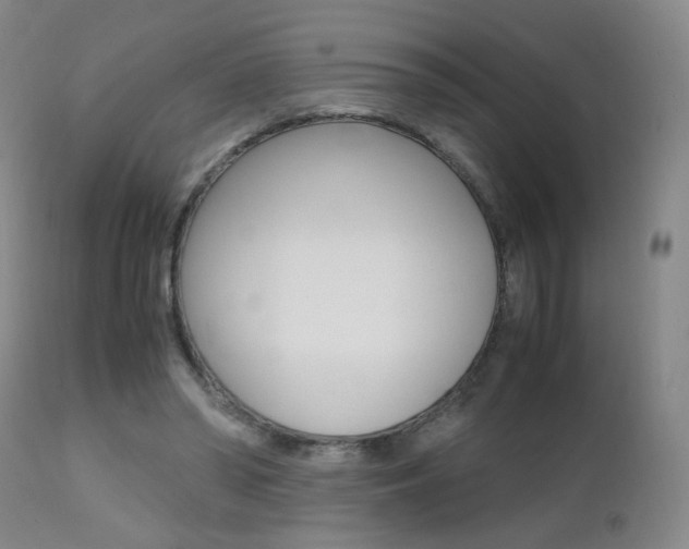 X0000112970398200908270948