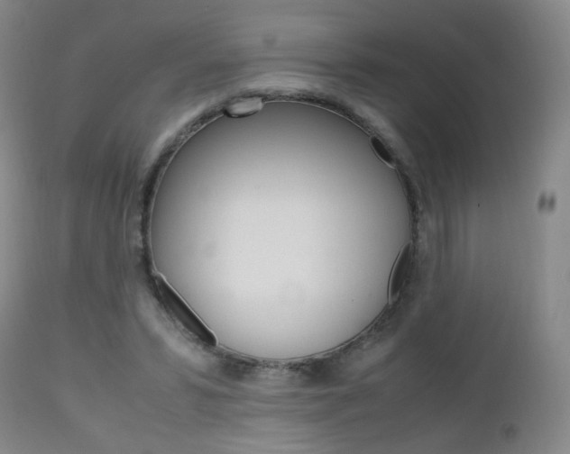 X0000112970399200908270948