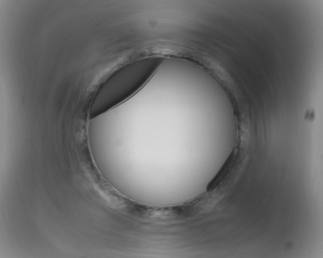 X0000112970401200908270948