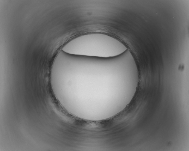 X0000112970402200908270948