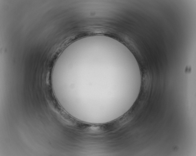 X0000112970406200908270948