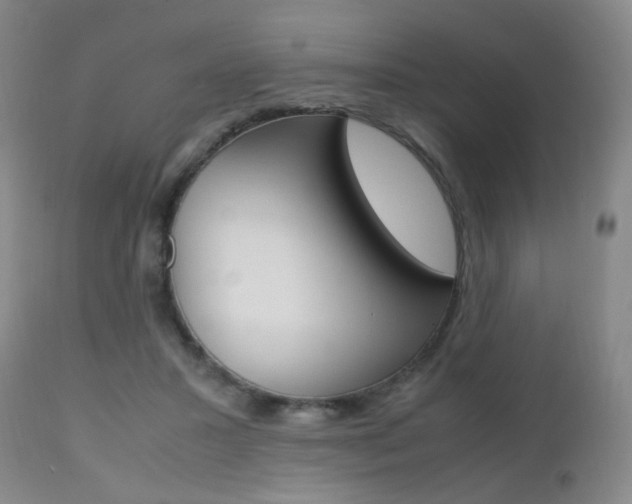 X0000112970407200908270948