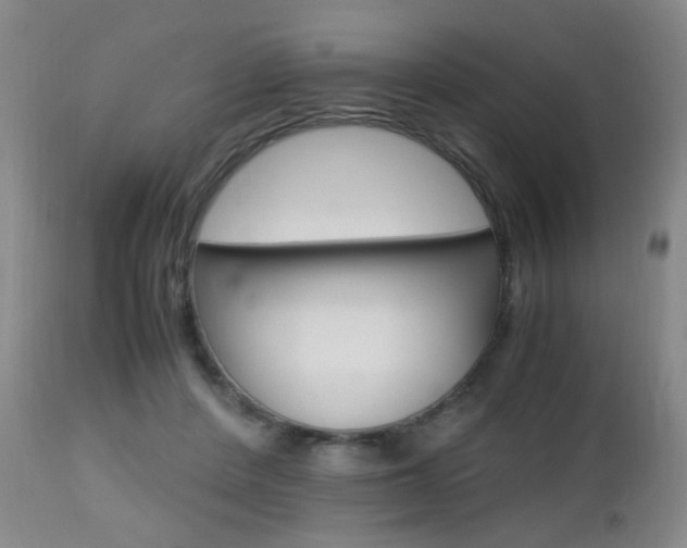 X0000112970408200908270948