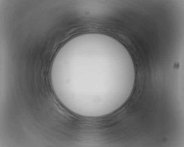 X0000112970409200908270948
