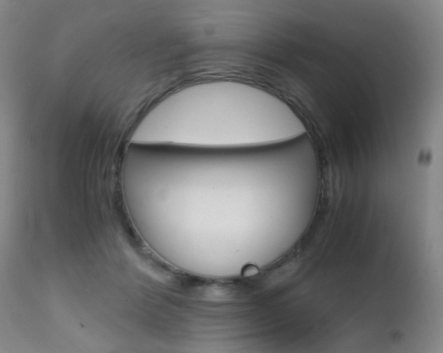 X0000112970412200908270948