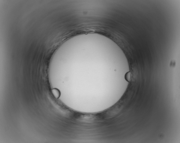 X0000112970414200908270948