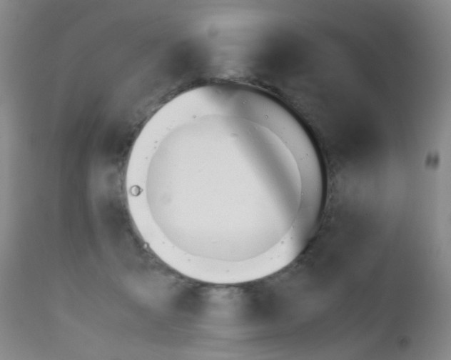 X0000112970415200908270948