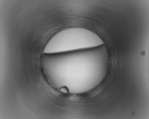 X0000112970416200908270948