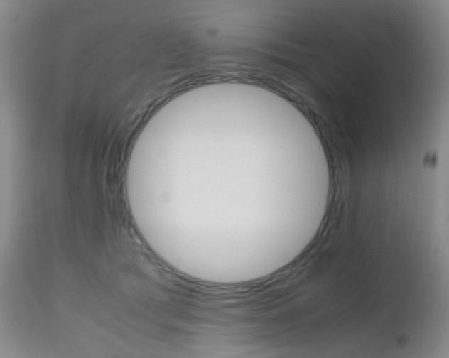 X0000112970417200908270948