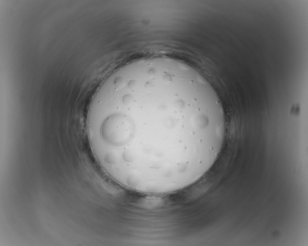 X0000112970418200908270948