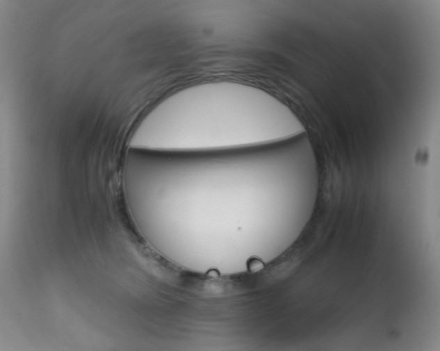 X0000112970420200908270948