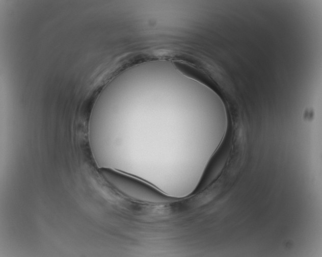 X0000112970421200908270948