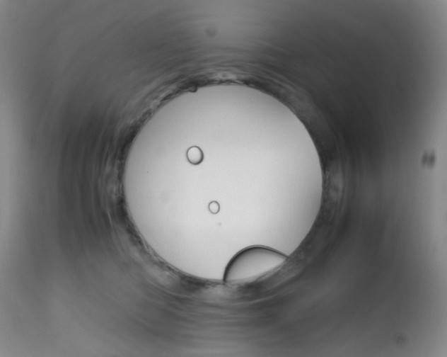 X0000112970422200908270948