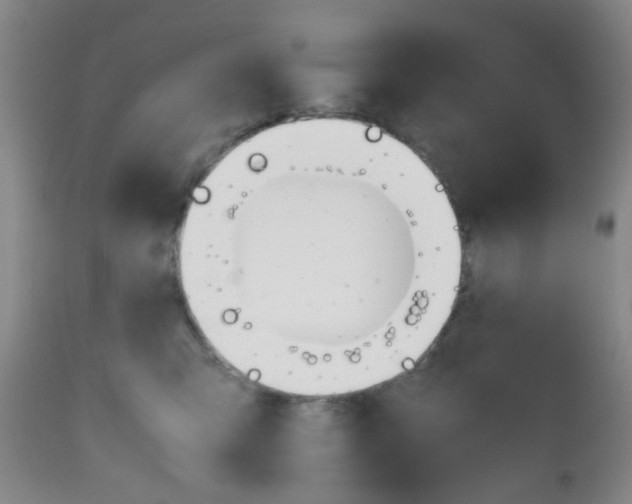 X0000112970423200908270948