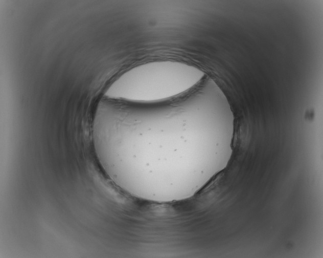 X0000112970424200908270948