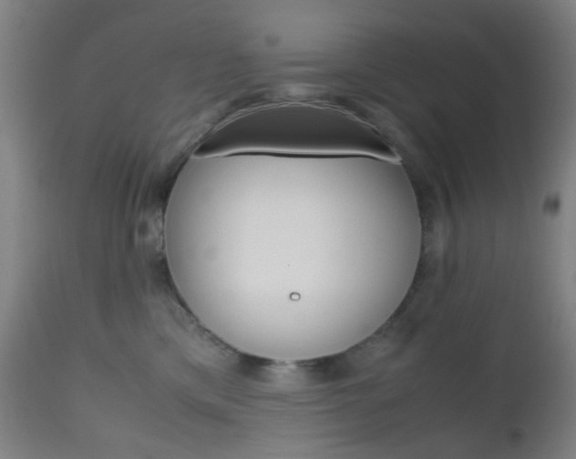 X0000112970425200908270948
