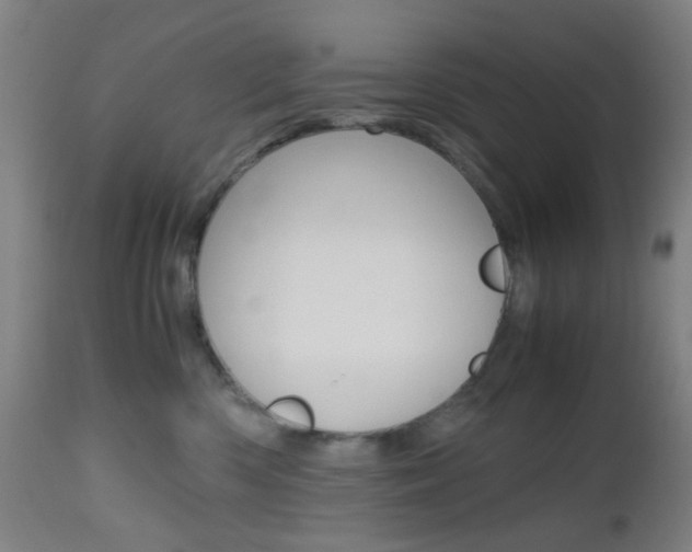 X0000112970426200908270947