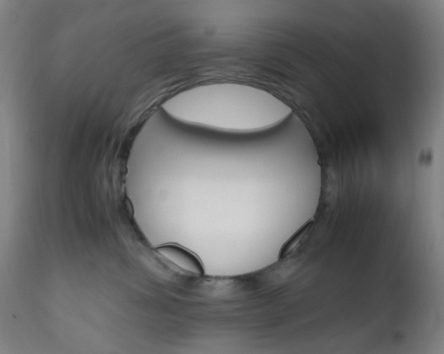 X0000112970428200908270947