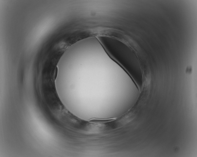 X0000112970429200908270947