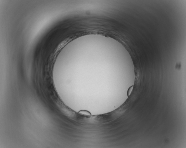 X0000112970430200908270947