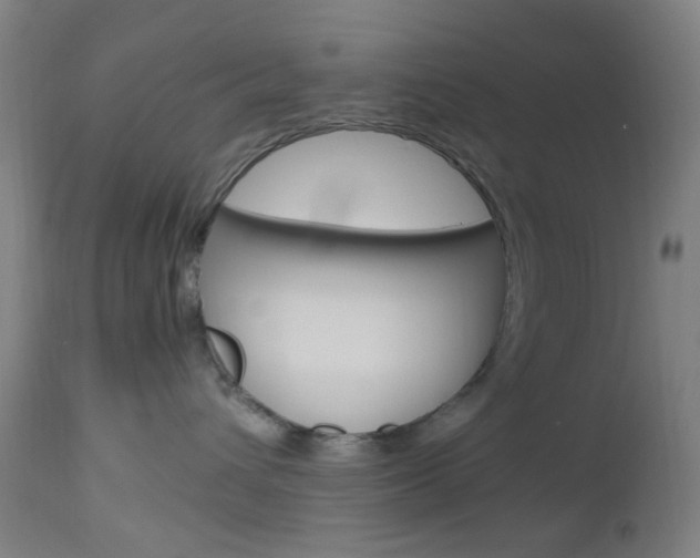 X0000112970432200908270947