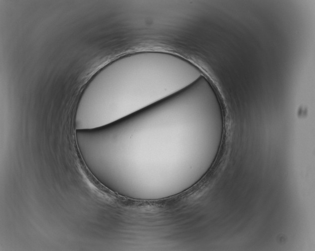 X0000112970433200908270947