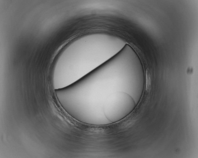 X0000112970435200908270947
