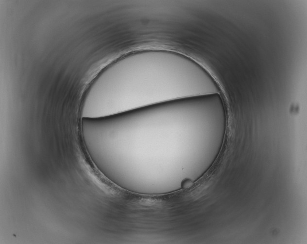 X0000112970437200908270947