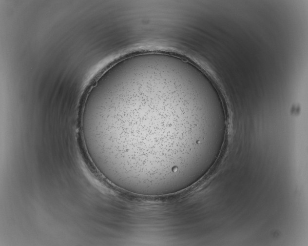 X0000112970438200908270947