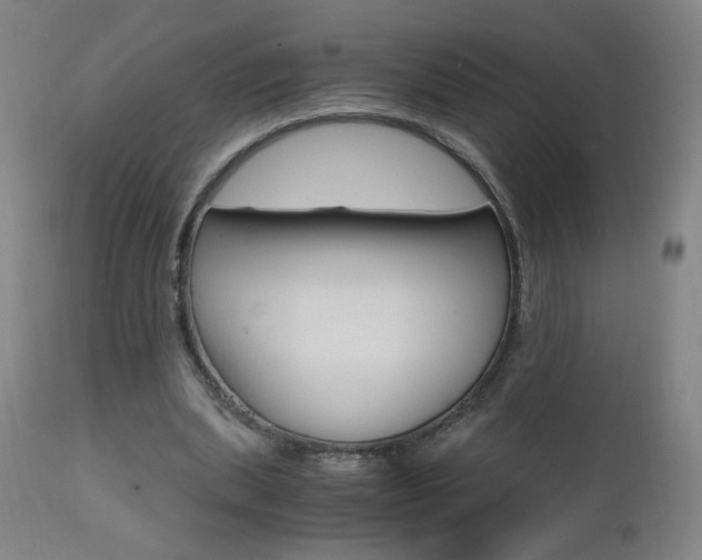 X0000112970439200908270947