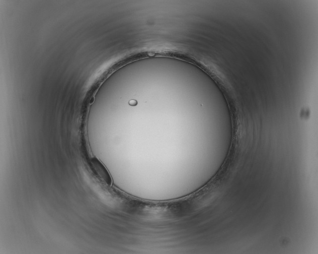 X0000112970440200908270947