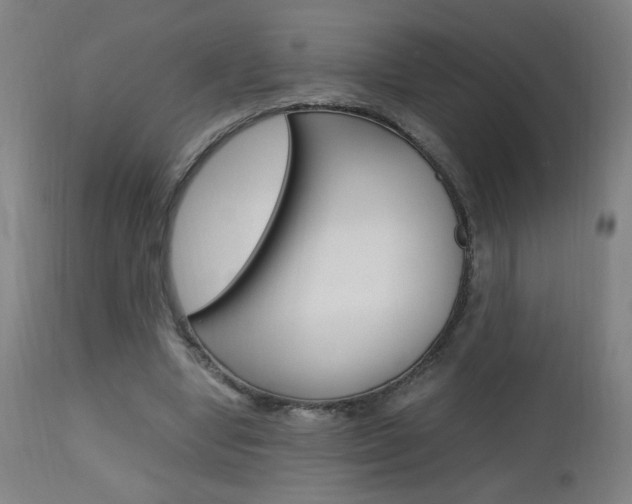 X0000112970442200908270947