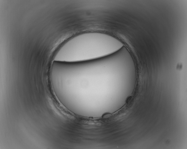 X0000112970443200908270947