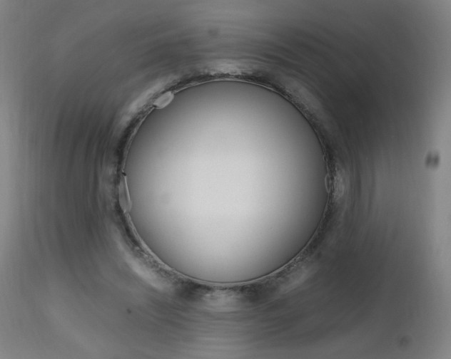 X0000112970444200908270947